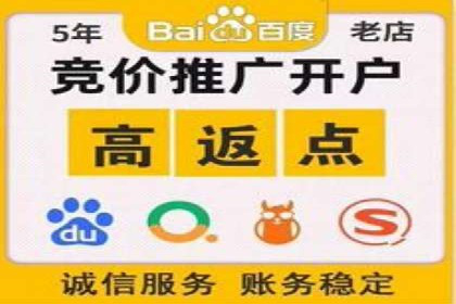 案例分析：竞价推广助力企业打造爆款产品